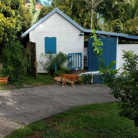 Mariposa Villa ซานต์-โรส ภายนอก รูปภาพ